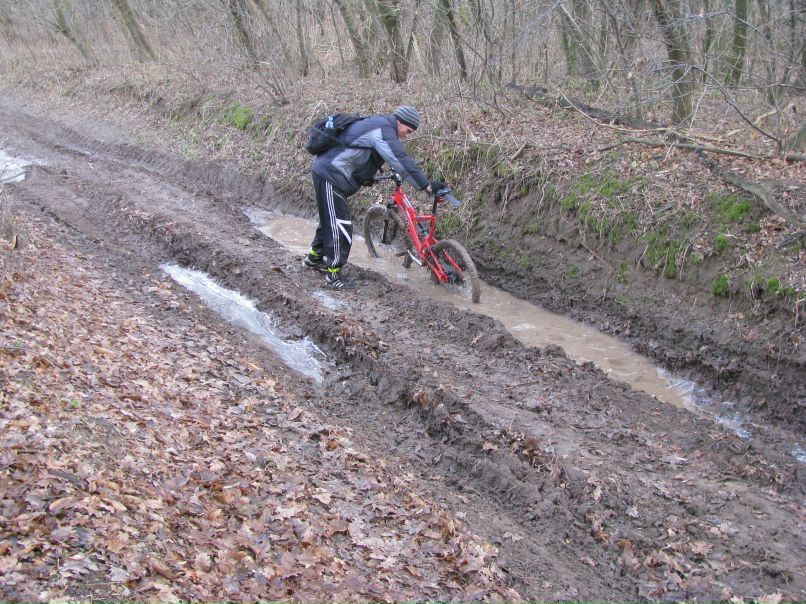 Богдан Миненко | 