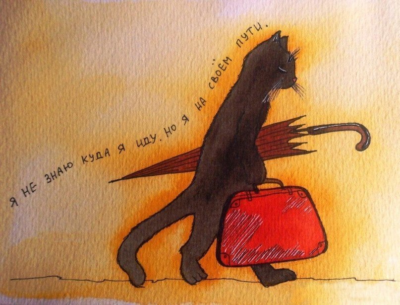 Дмитрий Басов | Киев