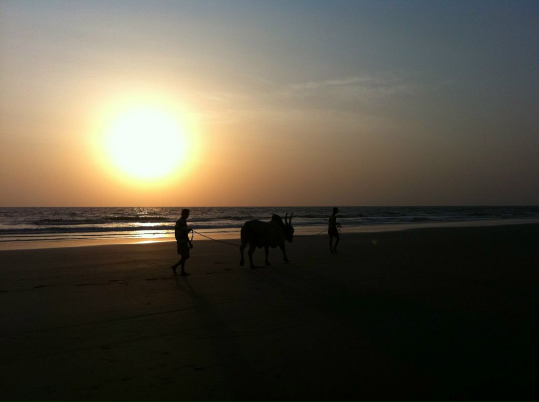 Анна Девицкая | Москва