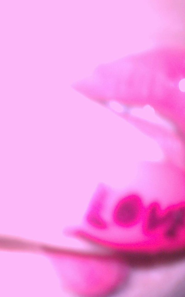 Татьяна Юмашева | Рассказово