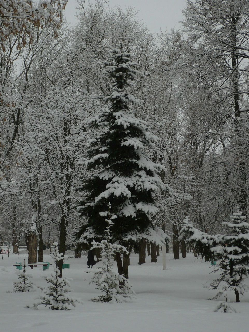 Ekaterina Makeeva | Орёл