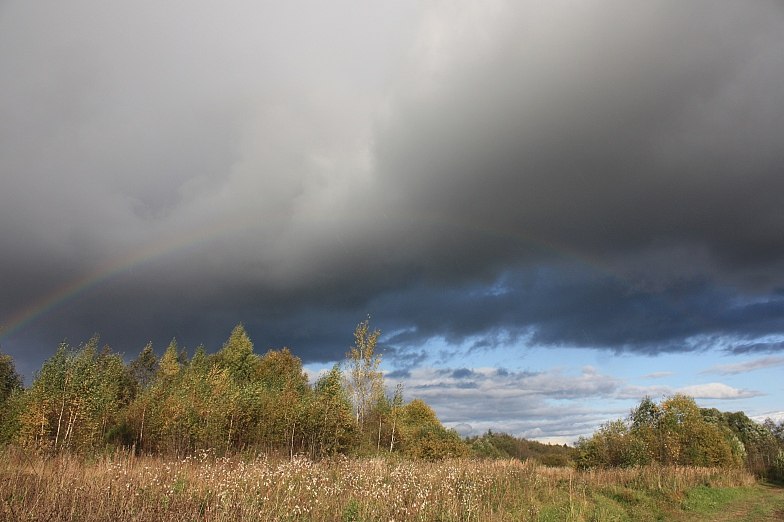 Дарья Стручкова Евгеньевна | Москва