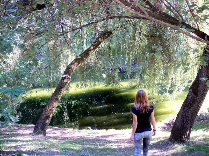 Вера Красненко | 