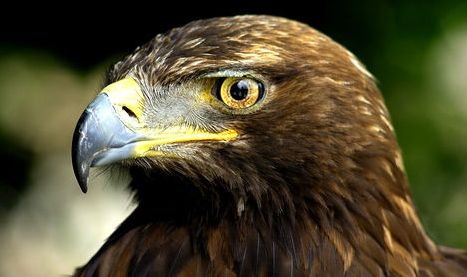 №15, Дмитрий Пришин, Керчь №15, Дмитрий Пришин, Керчь