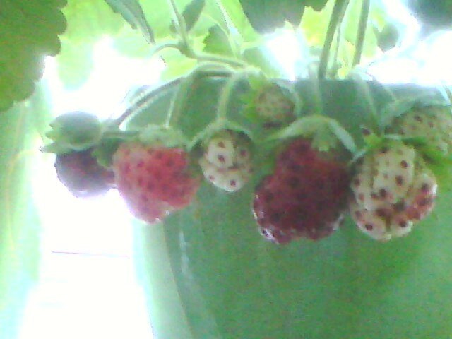 Татьяна Сливкина fishka | Хабаровск