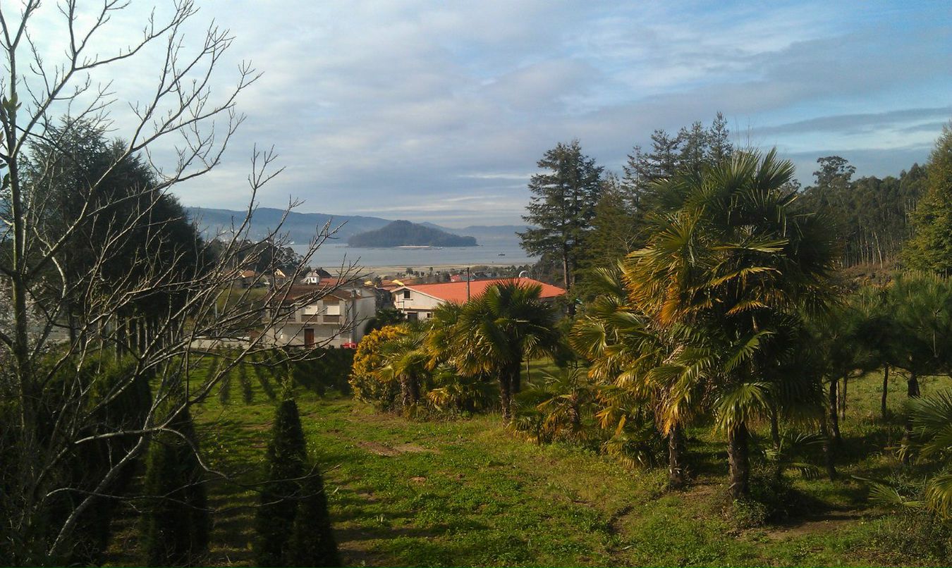 Евгений Зеленцов | Донецк