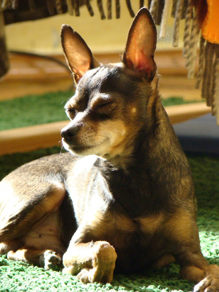 Анастасия Макарова | Санкт-Петербург