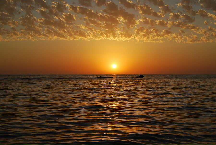 Влад Бакка Kenny | Санкт-Петербург