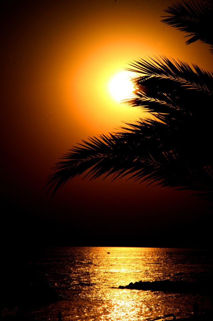 Влад Бакка Kenny | Санкт-Петербург