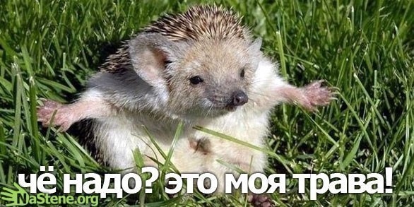 Николай Аверьков | 