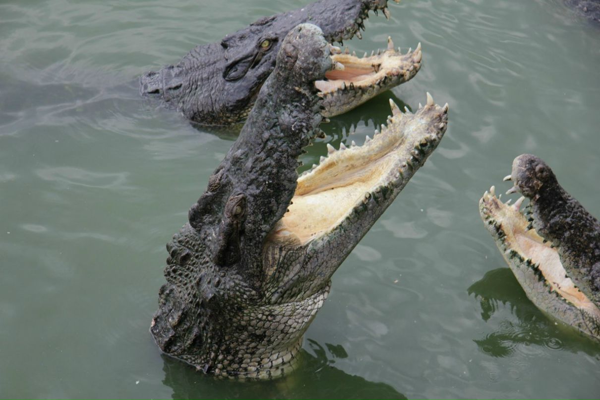 Дмитрий Чайкин | Красноярск