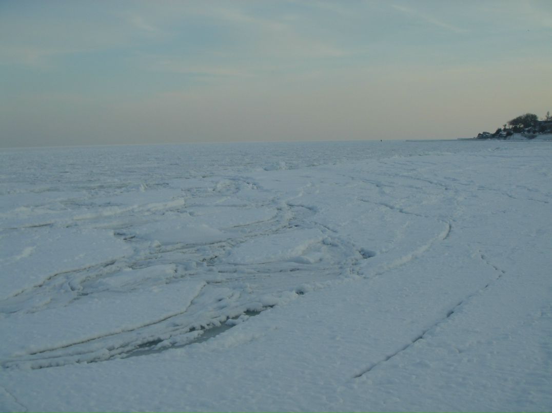 Анатолий Мироненко | Одесса
