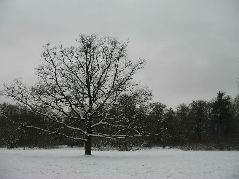 Андрей Шебашов | Москва