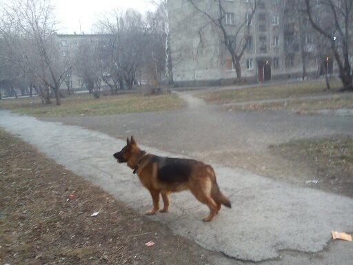 Алексей Кузьминых Валерьевич | Новосибирск