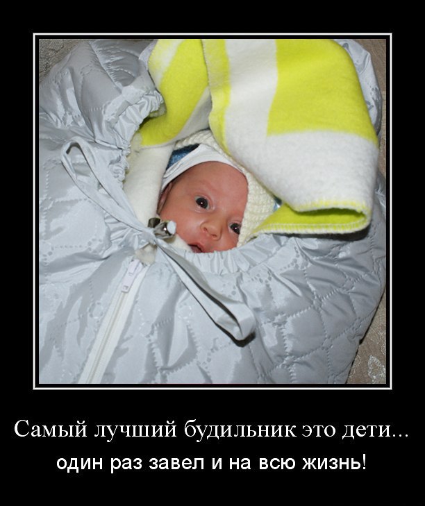 Максим Молчанов | Москва