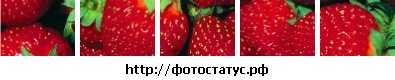 №18, Daniel Partyboy, 35 лет, Харьков №18, Daniel Partyboy, 35 лет, Харьков