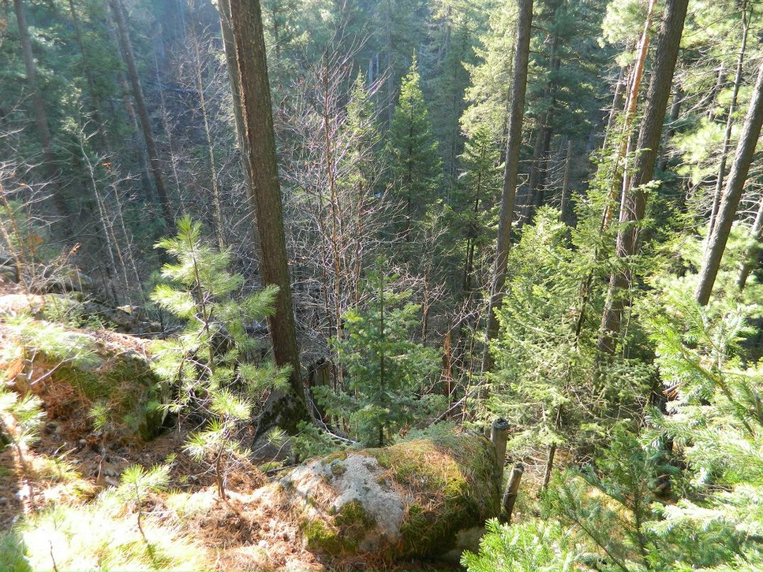 Роман Филягин | Железногорск