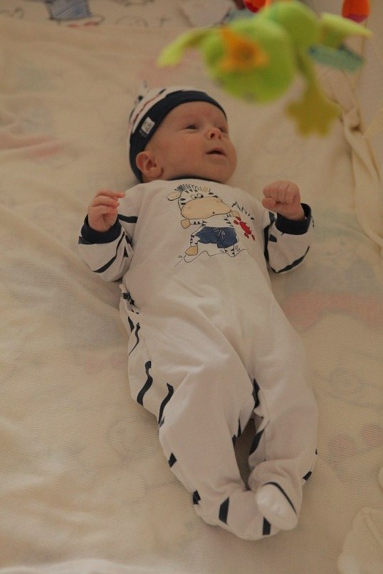 Алёна Шаумян | Краснодар