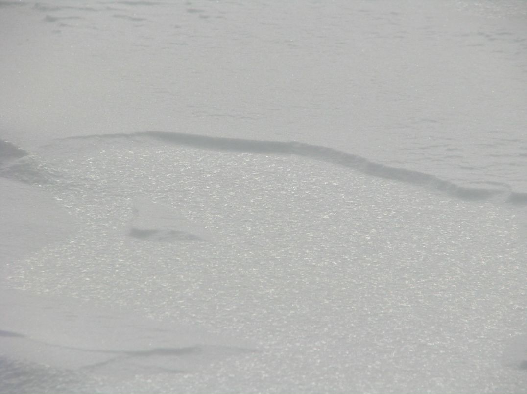 Шура Лавриненков | Люберцы