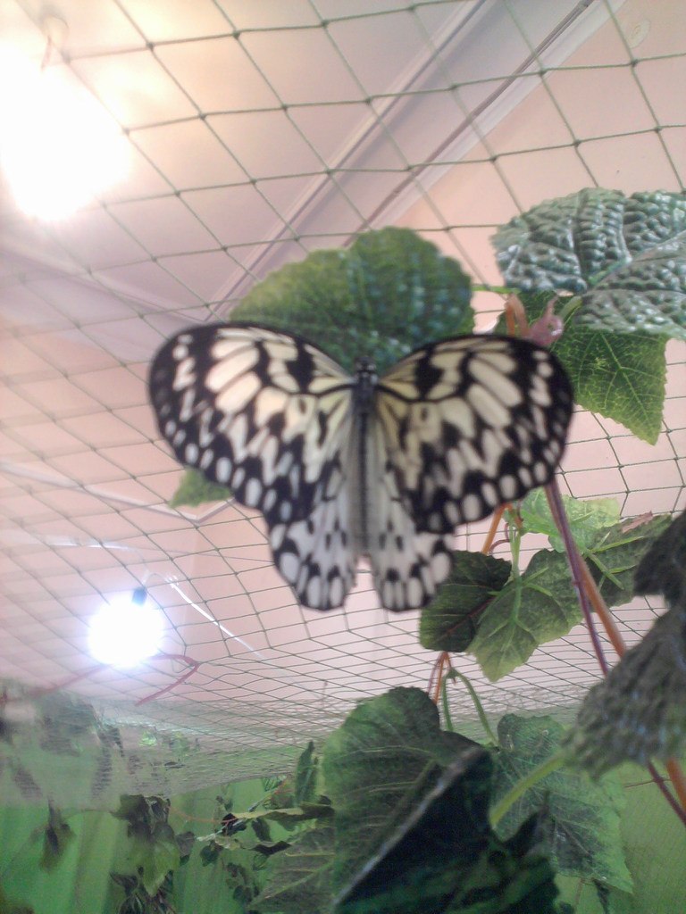 Катя Клименко | 