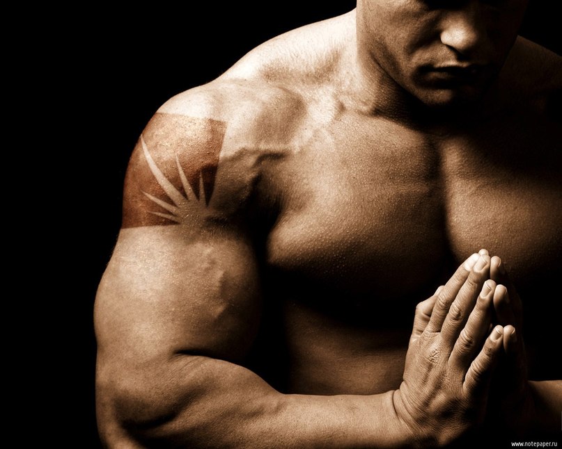 Александр Котелович | Хабаровск