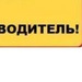 Дмитрий Трофимов фотография #47