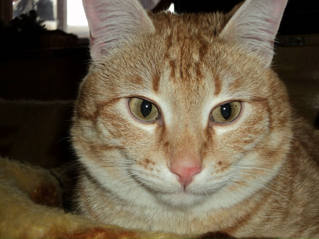 Александр Борисов <Mefisto> | Краснотурьинск