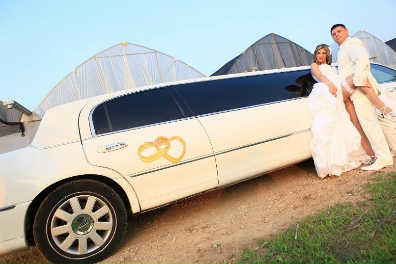 Наташа Павловская Витальевна | Полтава