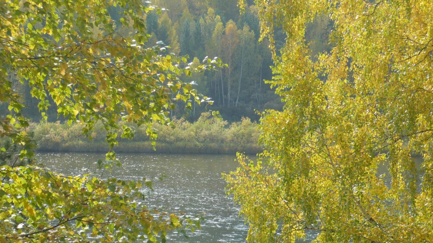 Алёна Радькова | Красноярск