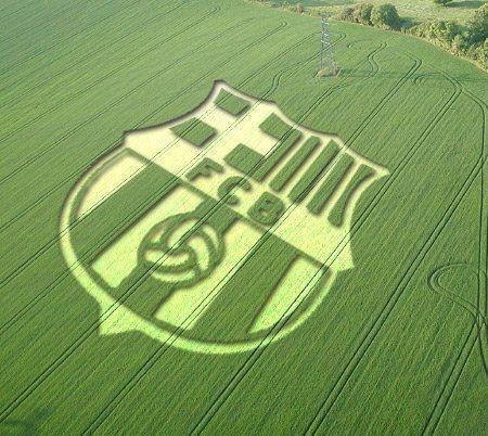 №78, Сергей Шевчук, Киев №78, Сергей Шевчук, Киев