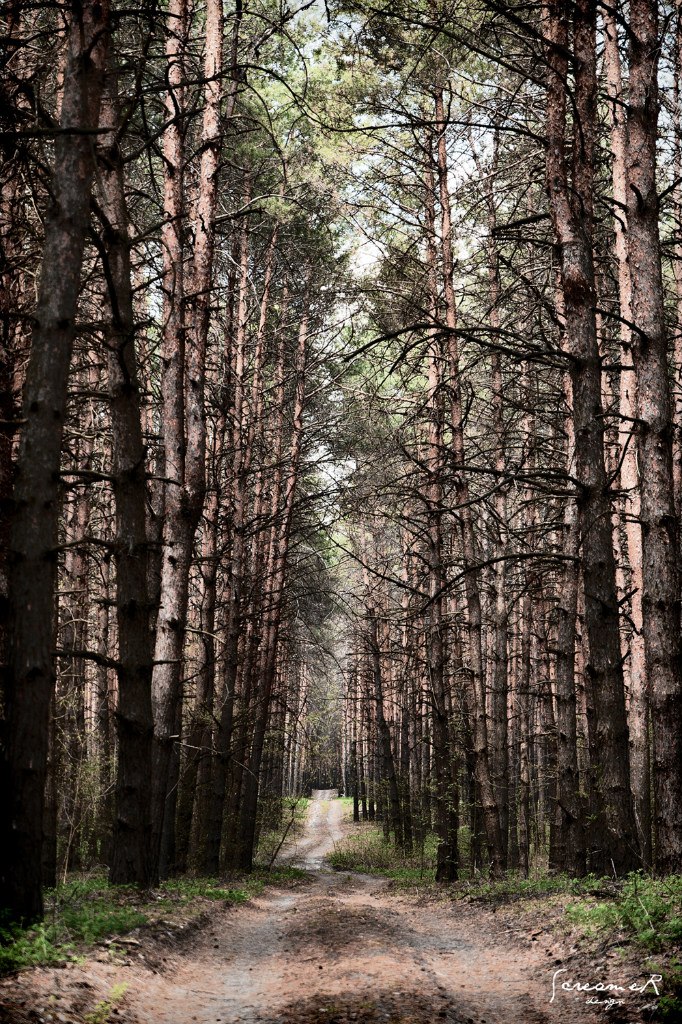 Влад Глушак ★ScreameR★ | Харьков