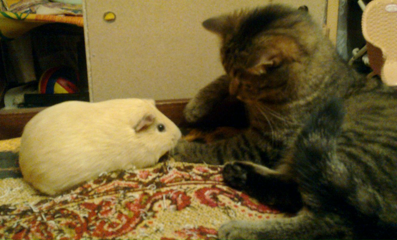 Лелька Яковлева | Москва