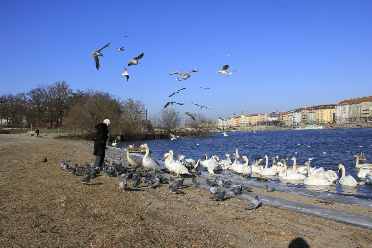 Наталия Селиваненко | Москва