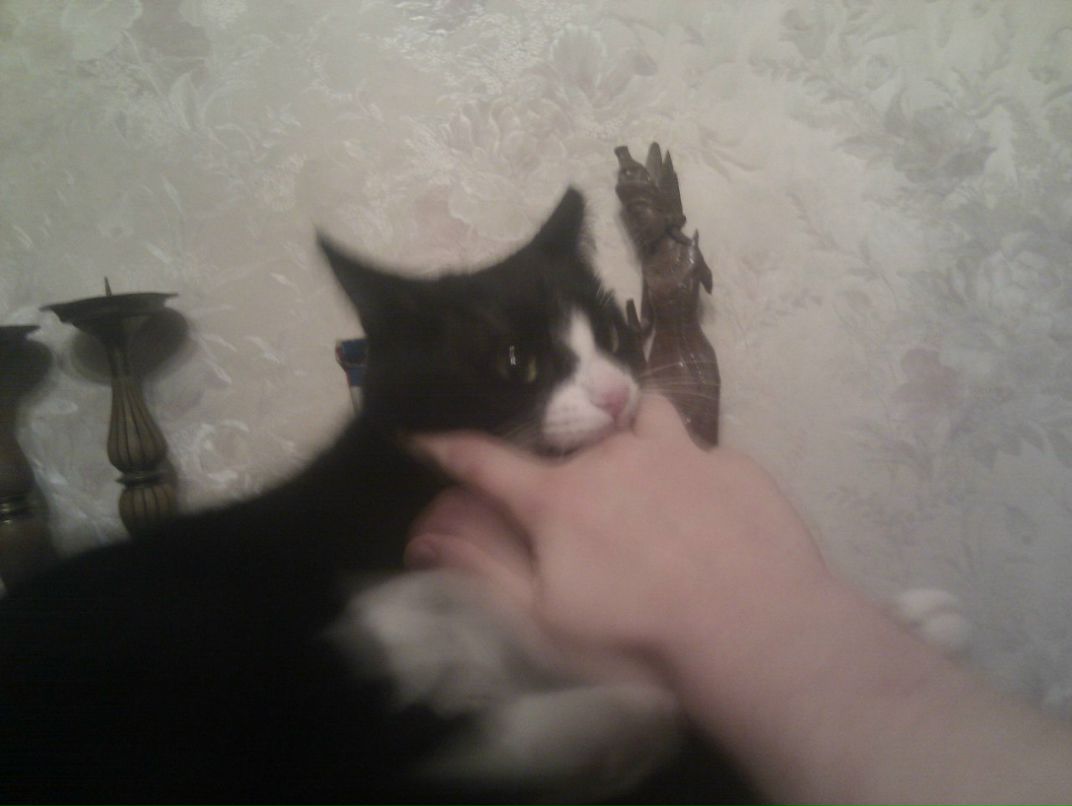 Александр Гончаров | Москва