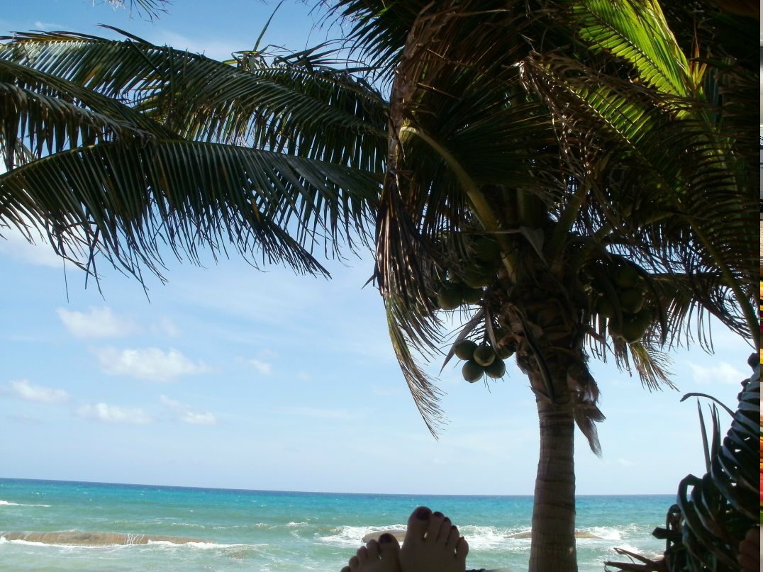 Алитя Новоселова | Newmarket