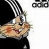 Аватар: Богдан Гайфуллин