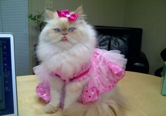 Марина Орлова | Санкт-Петербург