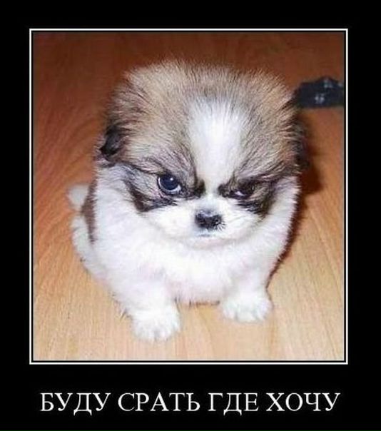 №6, Юлік Джеменару, 33 года, Молодия №6, Юлік Джеменару, 33 года, Молодия