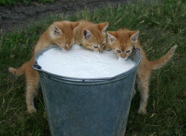 №100, Павел Жуков, 61 год, Санкт-Петербург №100, Павел Жуков, 61 год, Санкт-Петербург