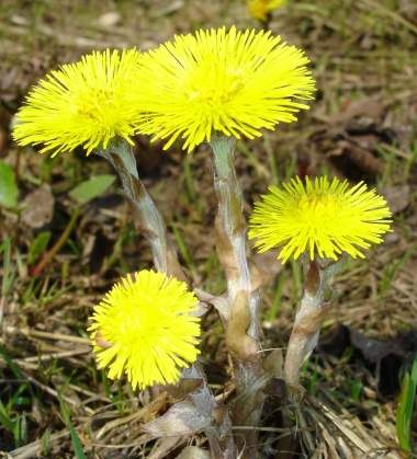 Яна Котова | Тверь