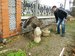 Богдан Кириленко фотография #41