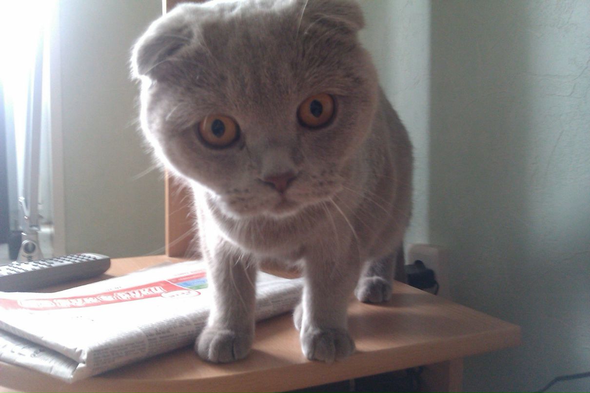 Вальдемар Стравинский | Уфа