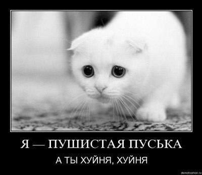 №137, Оля Яковенко, Белая Церковь №137, Оля Яковенко, Белая Церковь