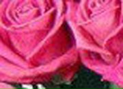 Юлия Бобырева | Санкт-Петербург