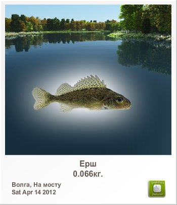 Санёк Сизов | Саратов