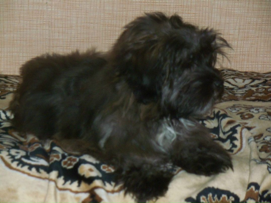 Оксана Ровенко | Бор