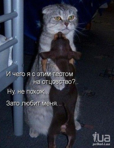 Анна Шестова | Донецк