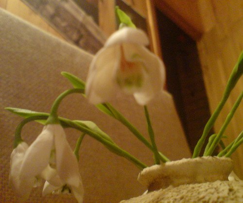 Римма Баблоян Fate | Ростов-на-Дону