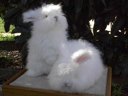 Екатерина Дмитренко | Москва