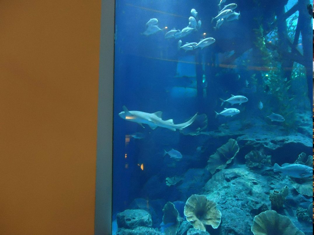 Максим Бевзюк | Зеленоград